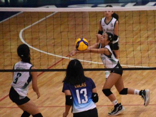 IMG-1af2f99b6acbab4abd31fcb7522f002a-V