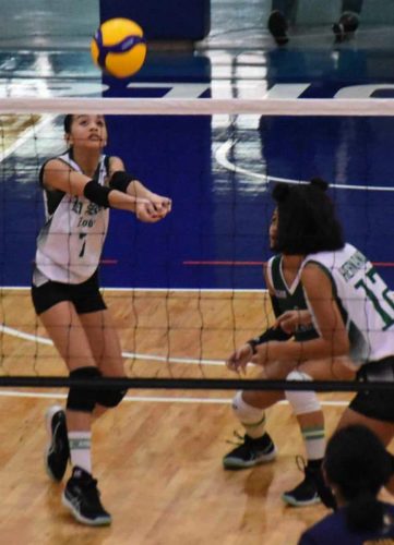 IMG-293cda2025be6cd4657ae7d6365f73e9-V