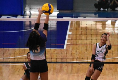 IMG-5ed22cc46406d341d07f76017f95b8d8-V