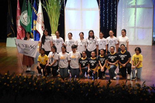 IMG-842914cf1cd76f7a1d12b5345c4db7e8-V