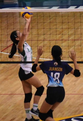 IMG-d8bd3c8204c9fb3a2788a5d8d4041228-V