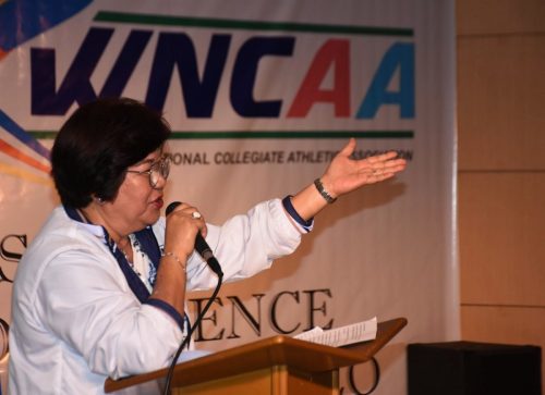 IMG-fa73799c0ece727fbf685d502d8c48be-V